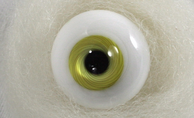 Yellow Glass eye 